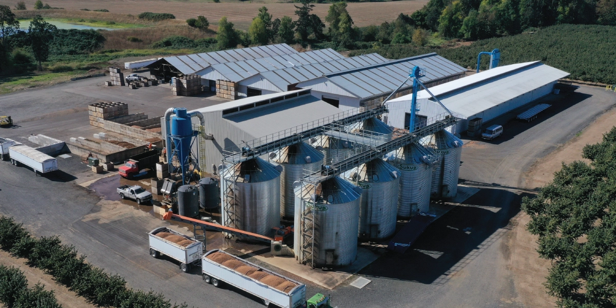 SINN HAZELNUT FARMS INC. (BULK)