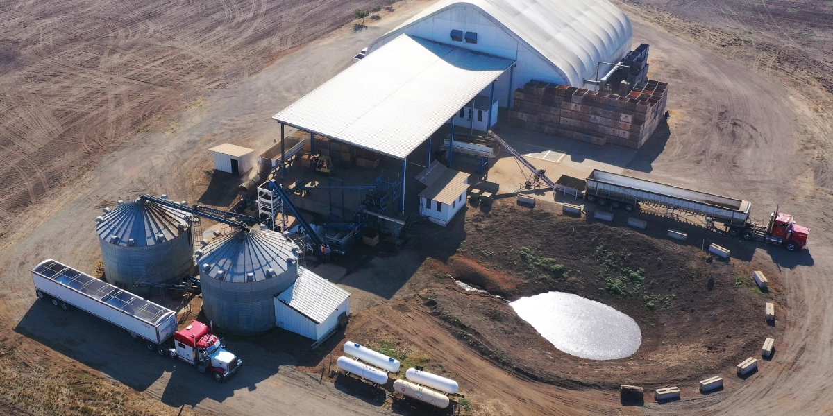 TRIPLE M FARMS (BULK)