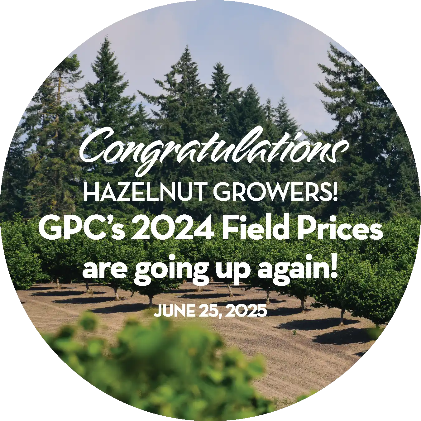 Congratulations Hazelnut Growers!